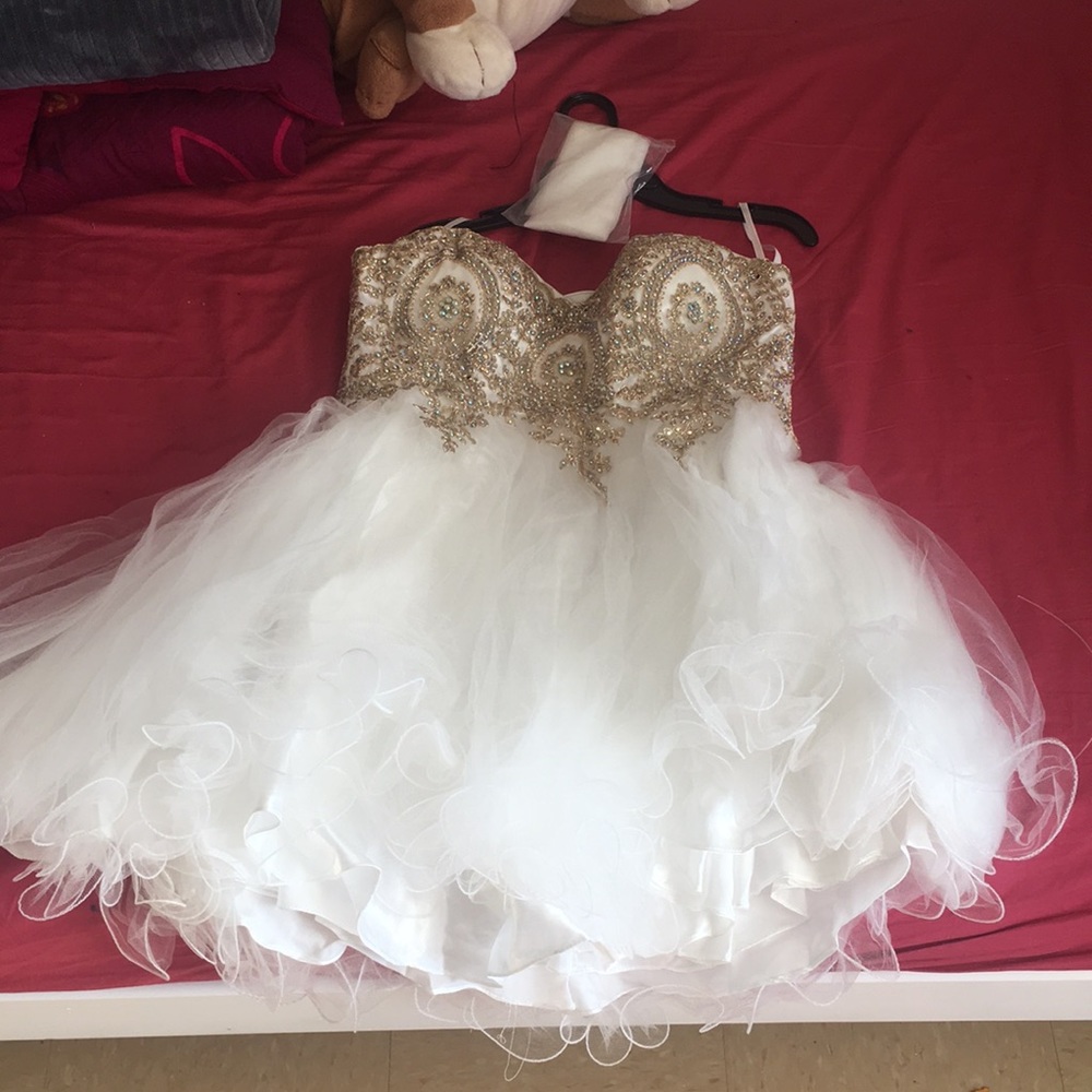 Custom made Prom dress - never worn